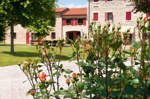 Agroturismo Agriturismo Prime Gemme