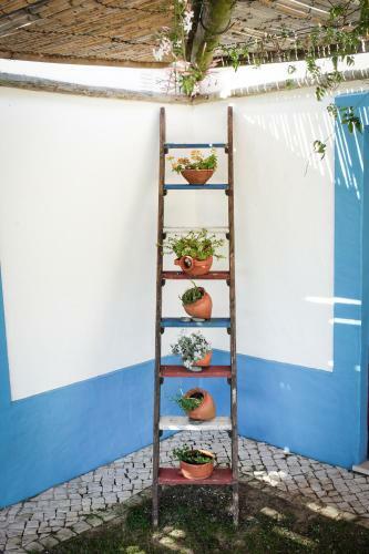 Agroturismo Casa Da Seiceira