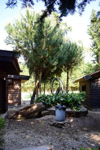 Agroturismo Quinta Sul America
