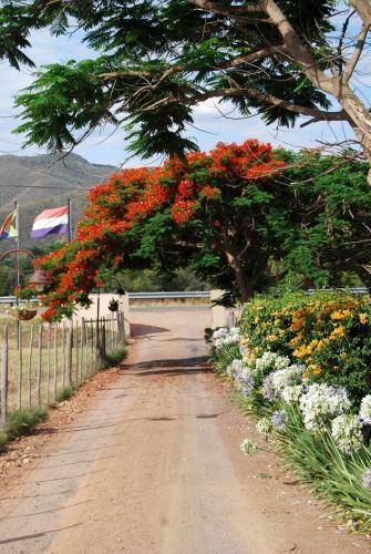 Hostal Die Fonteine Guest House