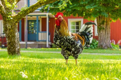 Agroturismo �devata Fiskecamp