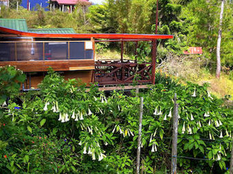 Hotel Mile 36 Lodge