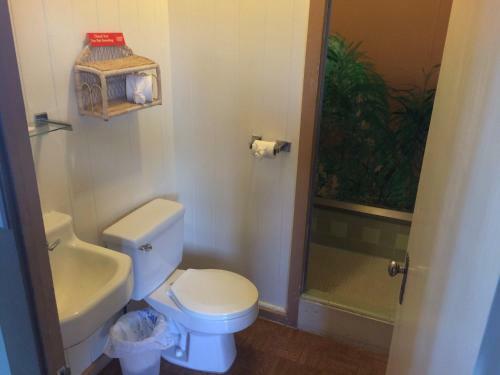 Bed & Breakfast Hotel Honokaa