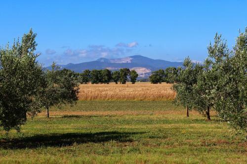Hostal Agriturismo Gli Etruschi