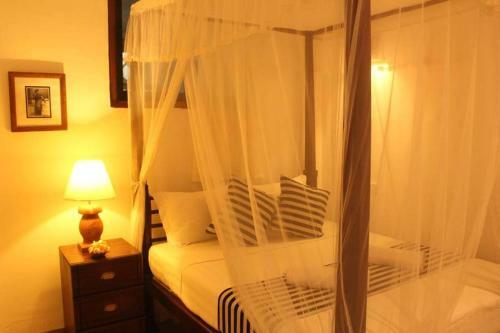 Hostal Pedlar 62 Guest House