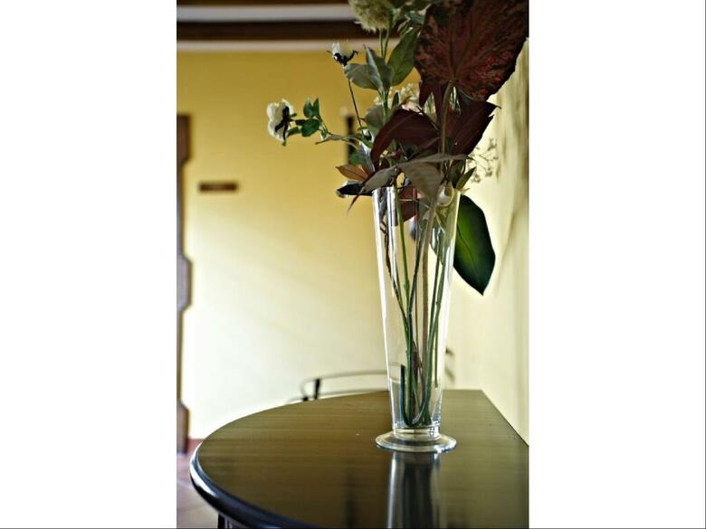 Hotel Coso Viejo