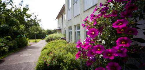 Y�myssy Apartments