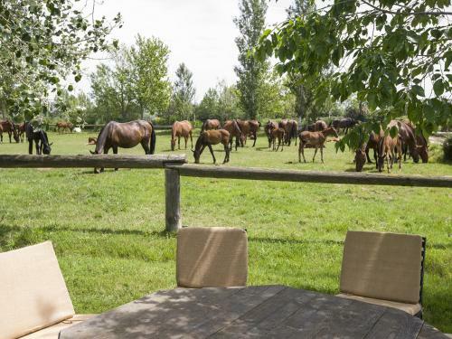 Agroturismo Yeguada Senillosa