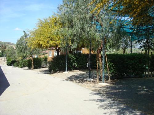 Camping Rural Presa La Vi�uela