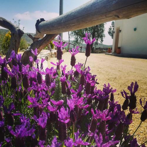 Agroturismo Cortijo Claudia