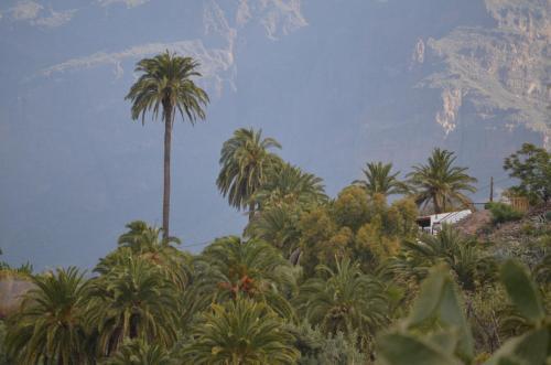 Agroturismo Countryhouse La Rueda