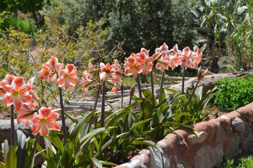 Agroturismo Countryhouse La Rueda