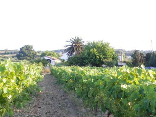 Agroturismo Cal Pau Cruset
