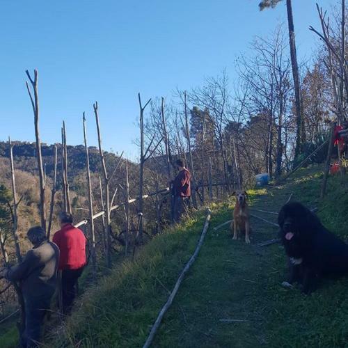 Agroturismo Agriturismo Aspettando Il Sole