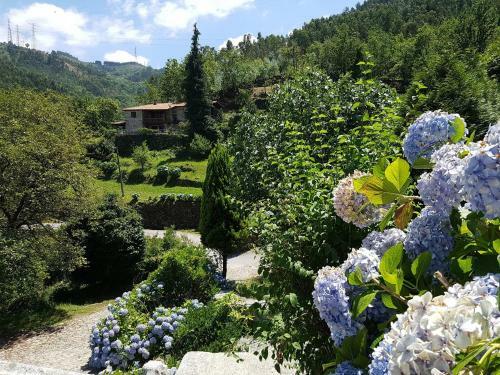 Agroturismo Quinta Do Sorilhal