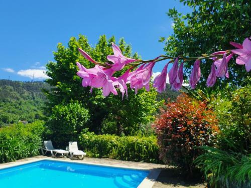 Agroturismo Quinta Do Sorilhal