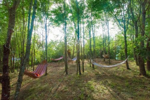 Agroturismo Societ� Agricola Cacigolara