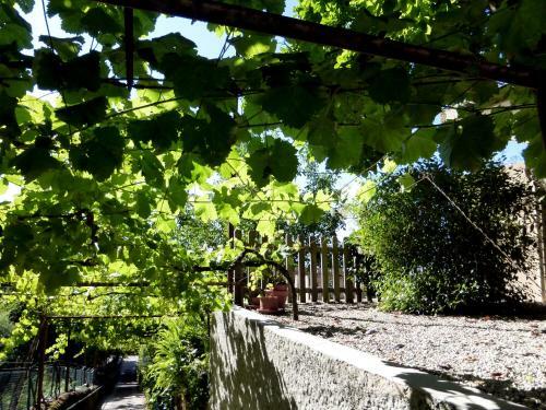 Agroturismo Quinta Das Leiras