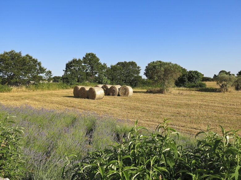 Agroturismo Podere Papilio