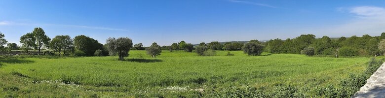 Agroturismo Podere Papilio