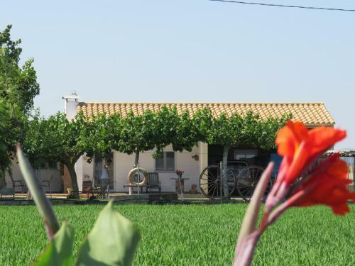 Agroturismo Caseta Montanyana