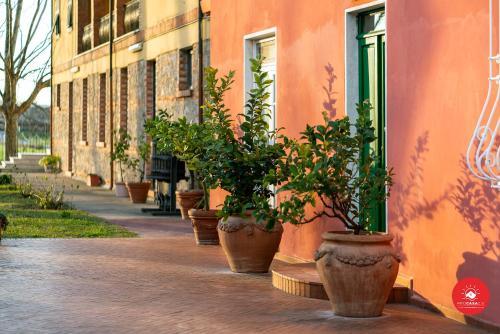 Agroturismo Fattoria Battilana