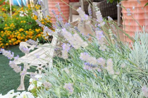 Agroturismo Villaiale