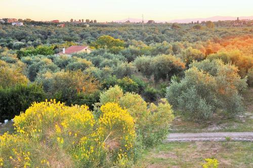 Agroturismo Villaiale
