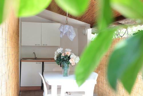 Hostal Black Marlin Club