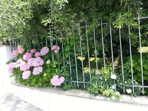 Apartamento Villa Celeste