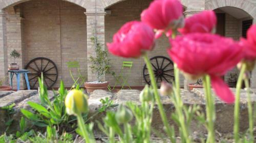 Bed And Breakfast Aratro & Rosmarino