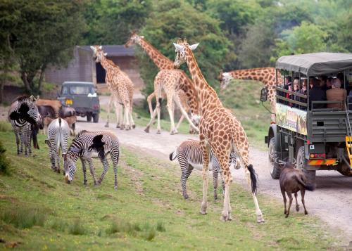 Port Lympne Mansion Hotel