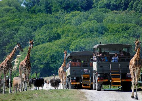Port Lympne Mansion Hotel
