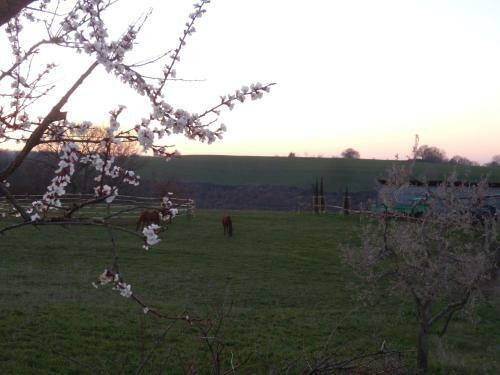 Agroturismo Podere Delle Rose