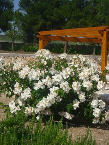 Agroturismo Masseria La Gravina