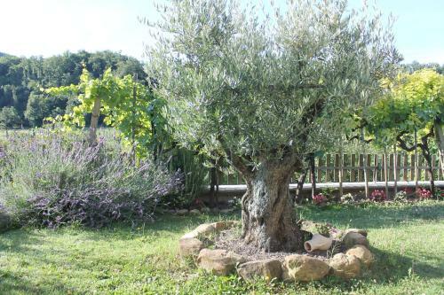 Agroturismo B&B Il Poggetto