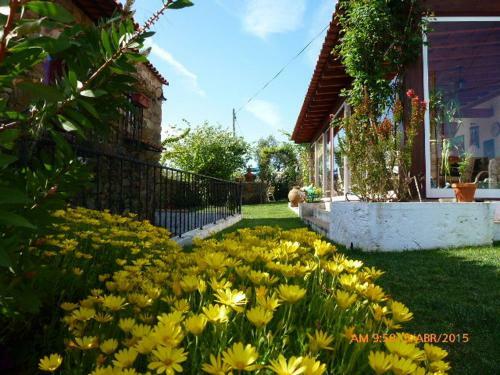 Agroturismo Casal Da Corti�ada