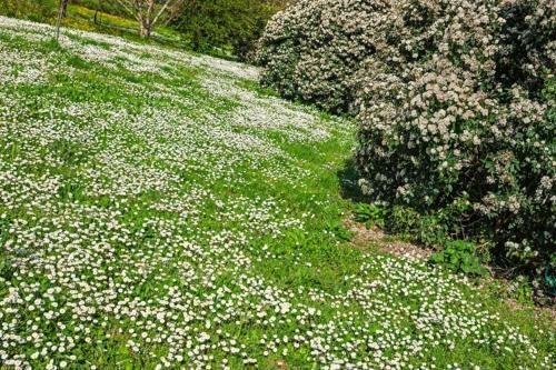 Agroturismo Il Molendino Pisa B&B