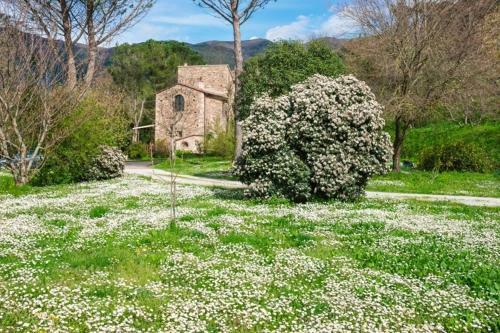 Agroturismo Il Molendino Pisa B&B