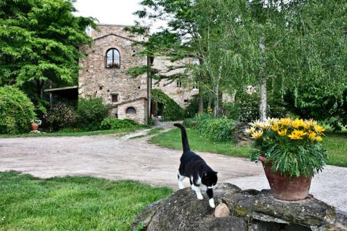 Agroturismo Il Molendino Pisa B&B