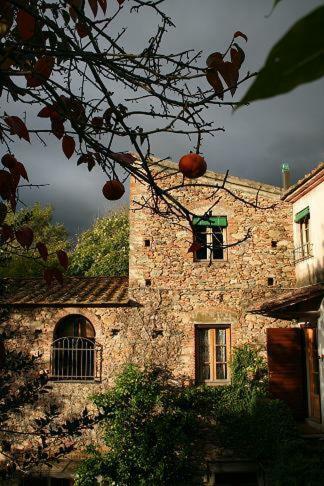 Agroturismo Il Molendino Pisa B&B