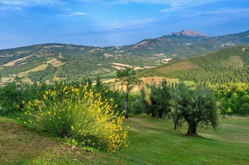 Agroturismo Borgo Di Bastia Creti