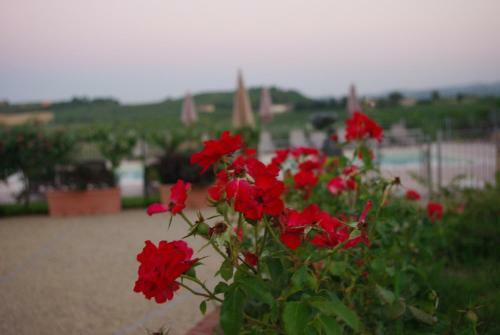 Hotel Naturalmente Wine Resort