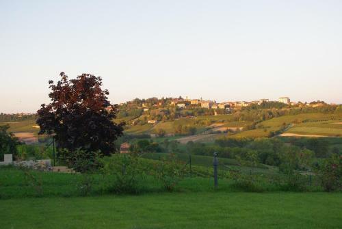 Hotel Naturalmente Wine Resort