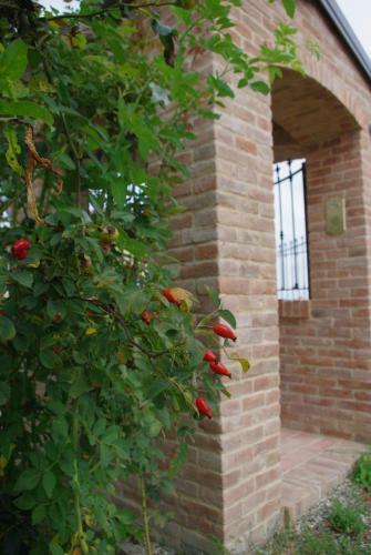 Hotel Naturalmente Wine Resort