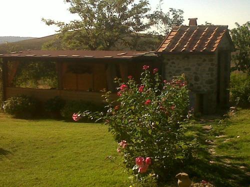 Hostal Agriturismo Podere Micitto