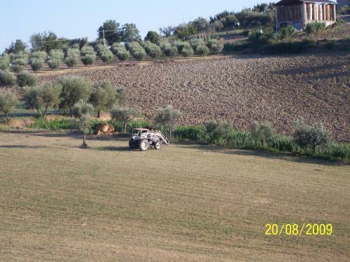 Hostal Agriturismo Il Vecchio Carro
