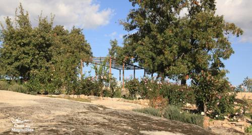 Agroturismo Casa Das Magnolias