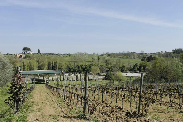 Agroturismo Agriturismo Corte Benedetto