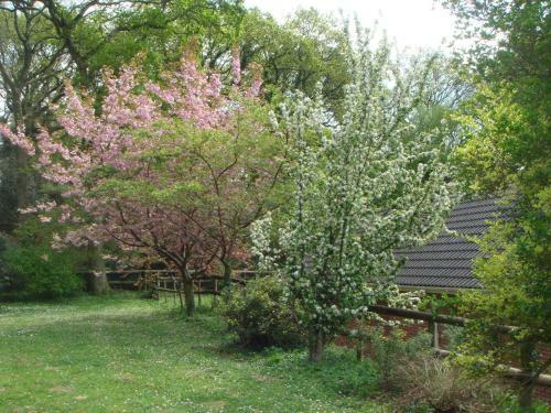 Agroturismo Yellowham Farm